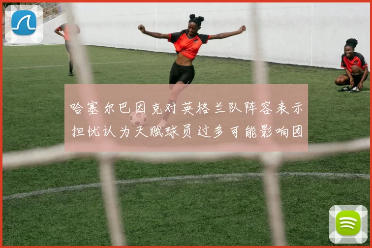 哈塞尔巴因克对英格兰队阵容表示担忧认为天赋球员过多可能影响团队合作