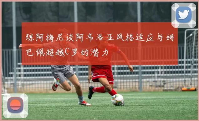 琼阿梅尼谈阿韦洛亚风格适应与姆巴佩超越C罗的潜力